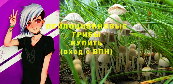 PSILOCYBIN Ладушкин