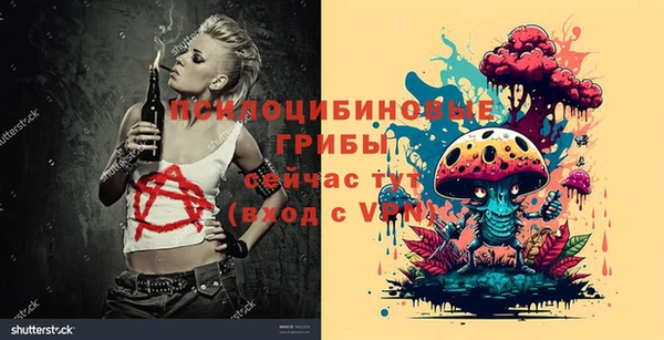 кокс Магас