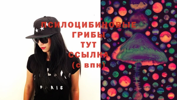 ECSTASY Порхов