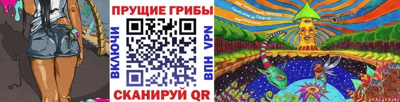 Галлюциногенные грибы Cubensis  сколько стоит  hydra ТОР  Ачхой-Мартан 