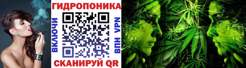 Бошки марихуана семена  Ачхой-Мартан 